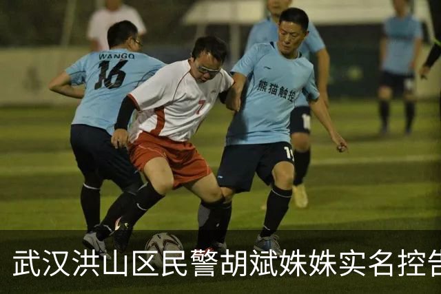 武汉洪山区民警胡斌姝姝实名控告信